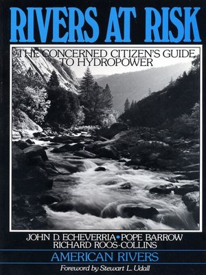 cover image of Rivers at Risk